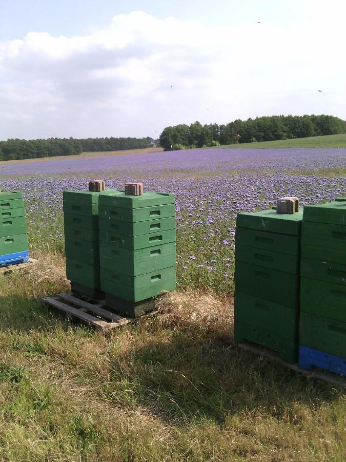 Kägsdorf Kalmar 8ヴィラ エクステリア 写真